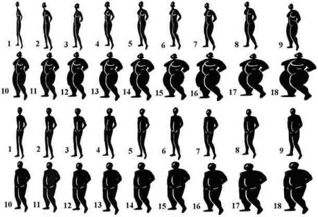 Body_images_for_obesity
