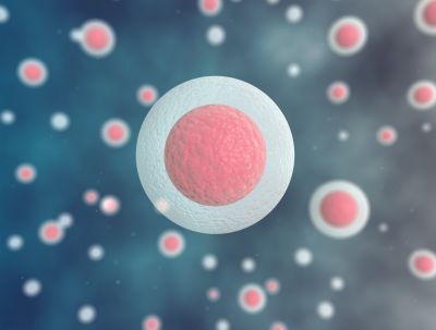 Tracing the fate of stem cells