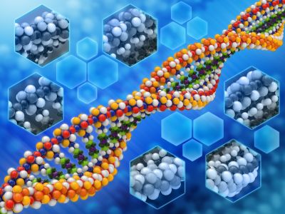 Epigenetic modifications in health and disease