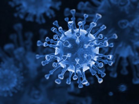 Influenza virus evolution